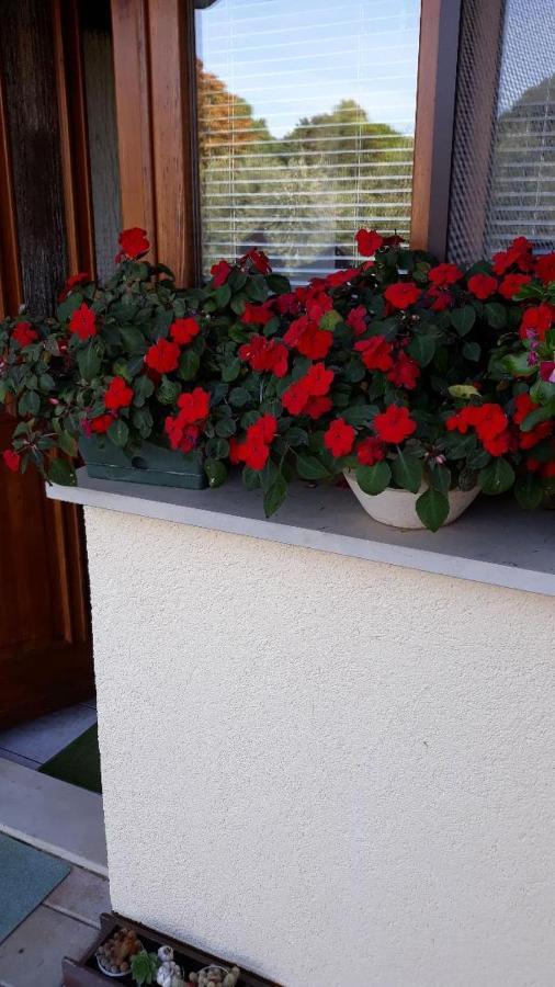 Apartments Marija أوماغ المظهر الخارجي الصورة